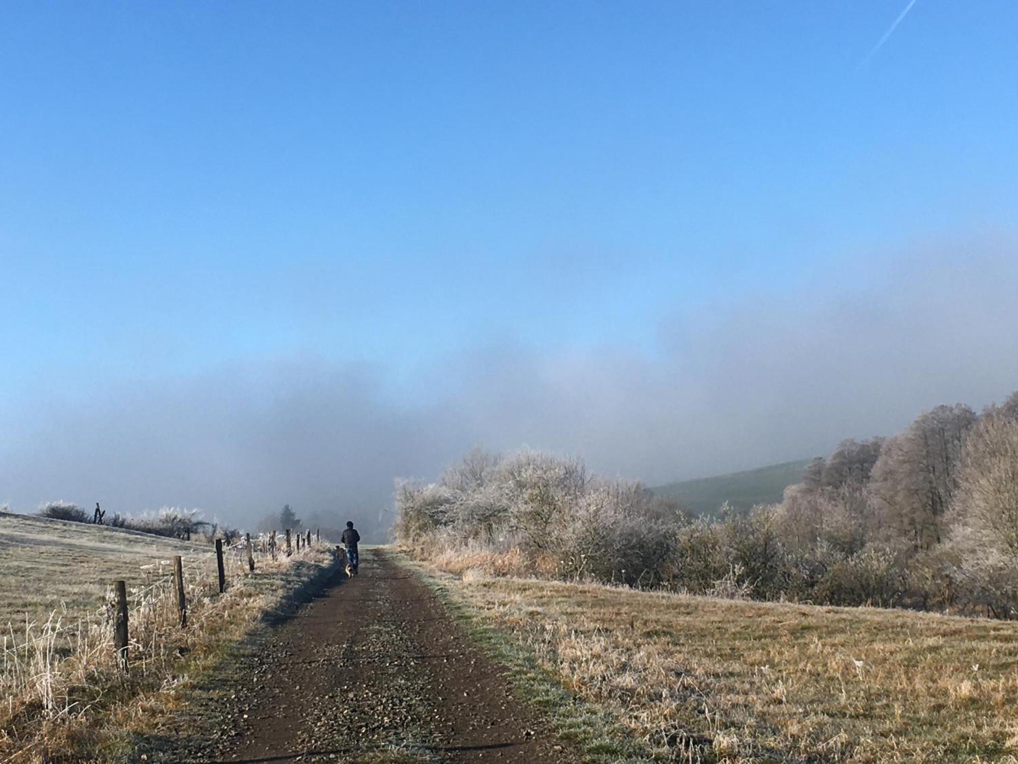 Paulis Ferienhaus Mit Kamin & Sonnenterrasse - Je Zimmer Ein Eigenes Bad - Gratis Sauna - Reinigung & Waesche Inklusive - 1 Hund Ohne Aufpreis - Ideal Zum Wandern, 20 Min Zum See Bullange Exterior photo