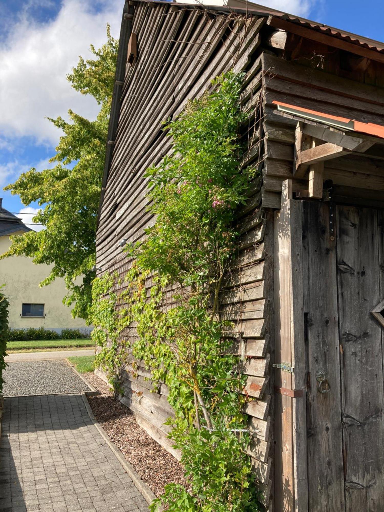 Paulis Ferienhaus Mit Kamin & Sonnenterrasse - Je Zimmer Ein Eigenes Bad - Gratis Sauna - Reinigung & Waesche Inklusive - 1 Hund Ohne Aufpreis - Ideal Zum Wandern, 20 Min Zum See Bullange Exterior photo